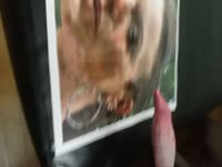 Dog masturbating to her owner's photo